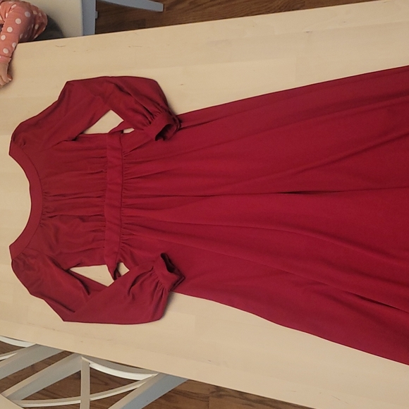 Fabulous 1970s International Ladies Garment Workers Union Vintage Deep Red Dress - Picture 13 of 17